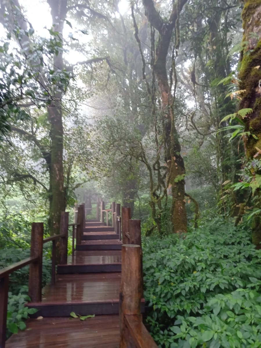 CHORN's image of frontend side 3.